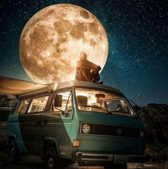 KOVA BURCUNDA DOLUNAY